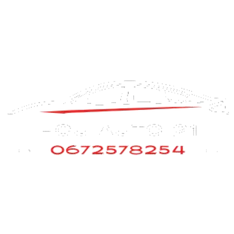 ECU AUTO 21