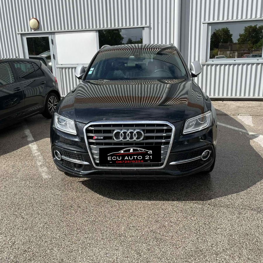 Désactivation EGR réalisée par ECU AUTO 21 à Dijon — intervention 4