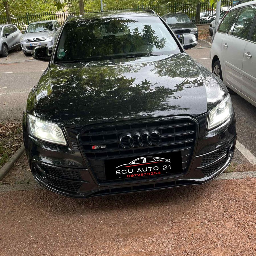 Désactivation EGR réalisée par ECU AUTO 21 à Dijon — intervention 5