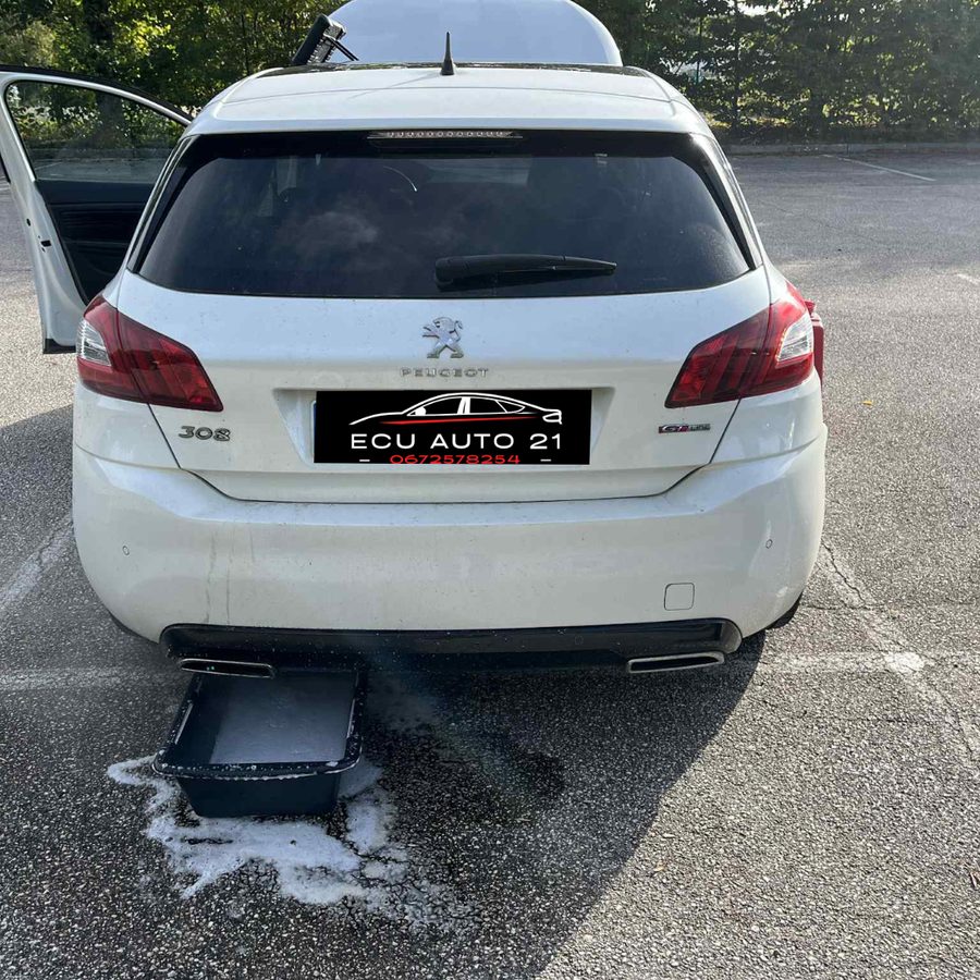 Nettoyage FAP réalisée par ECU AUTO 21 à Dijon — intervention 3